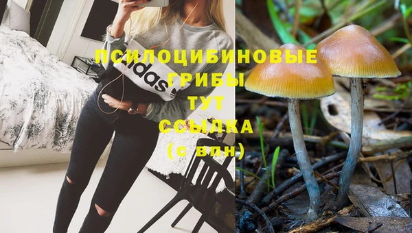 мескалин Карталы