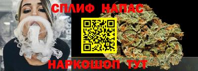 Альфа ПВП Ачхой-Мартан