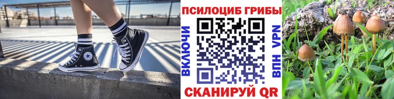 что такое наркотик Новомосковск гидра ТОР Галлюциногенные грибы мухоморы