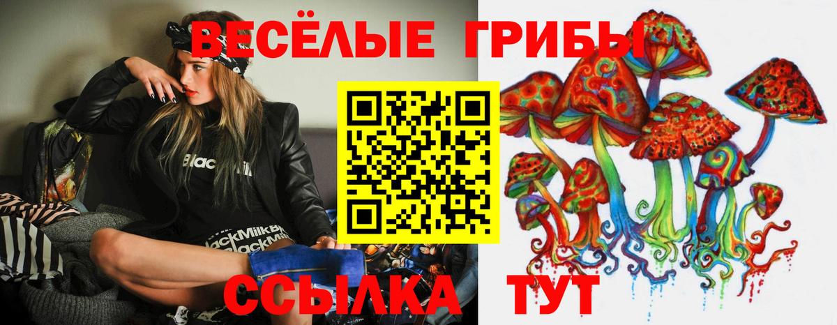 Новомосковск  Псилоцибиновые грибы мухоморы  Вход с VPN 